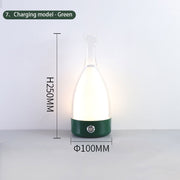 Wine Bottle Table Lamp INS Wind Light Luxury Creative Bedroom Bedside Lamp Net Red Clear Bar Decoration Charging Table Lamp